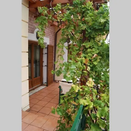 Spacious Paradise With Stone-build Patio * Chorefton